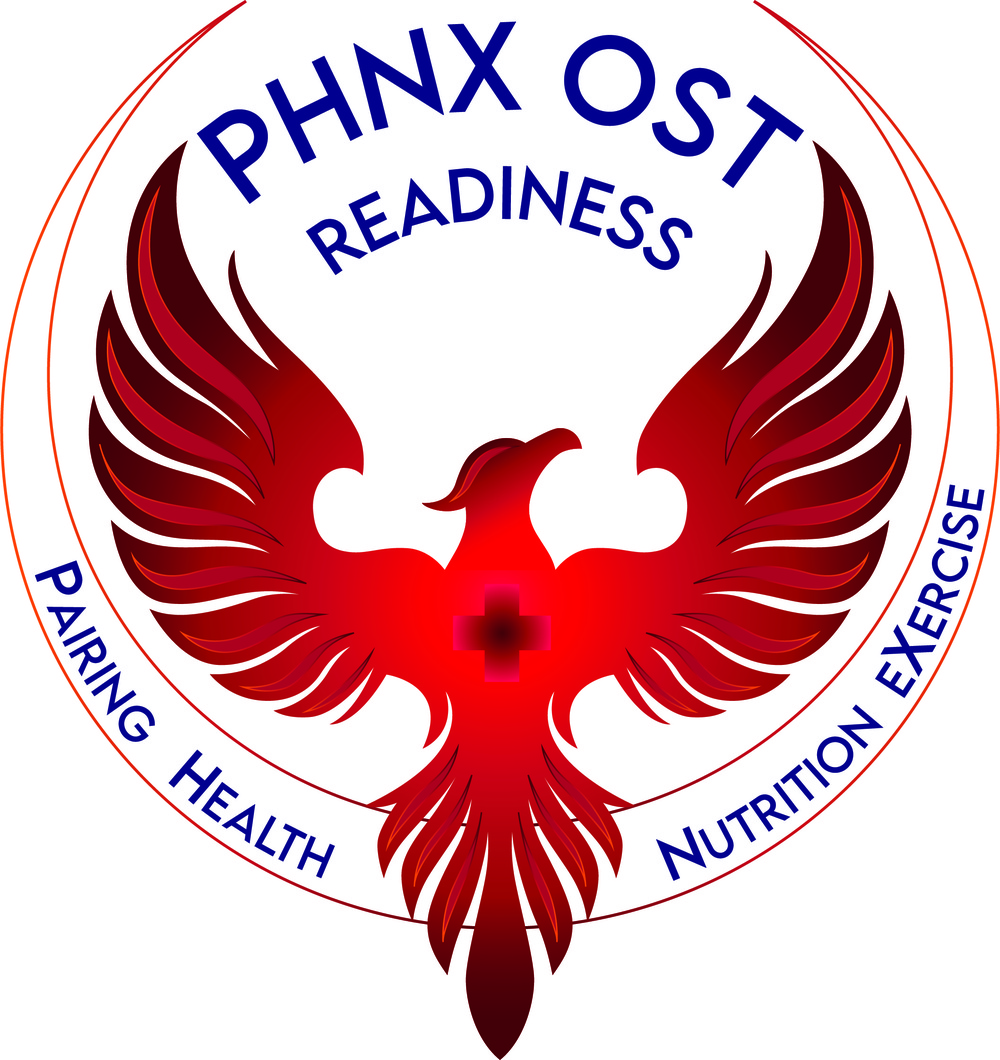 Logo PHNX OST ( Operational Support Team )