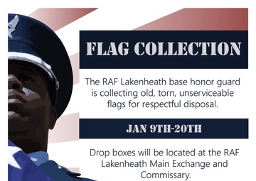 48th Fighter Wing base honor guard flag collection