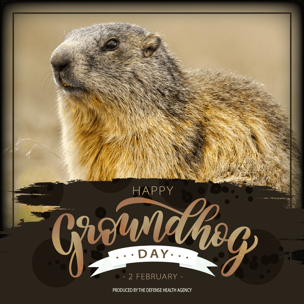 2Feb Groundhog Day