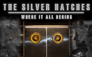 The Silver Hatches