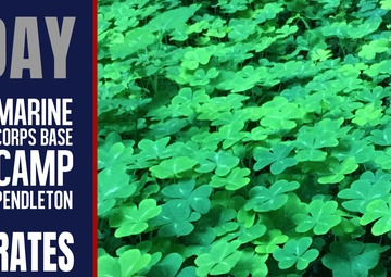 Saint Patrick&amp;#39;s Day 2023