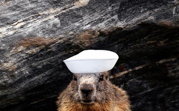 Navy Groundhog Day Illustration
