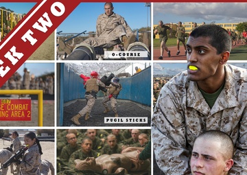 Recruit Training Week Two