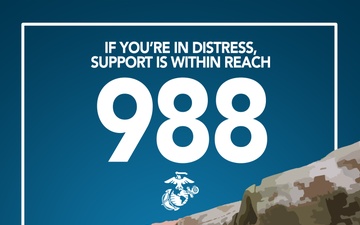 988 Support is Within Reach poster