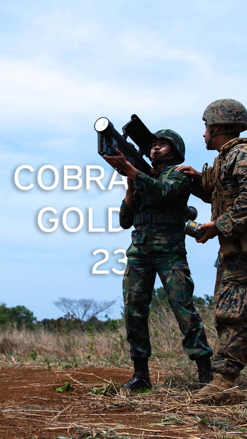 Cobra Gold 23 Graphic