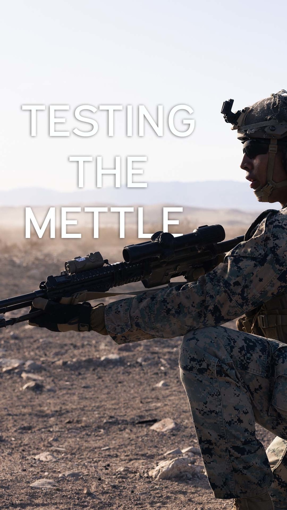 Testing the Mettle Graphic