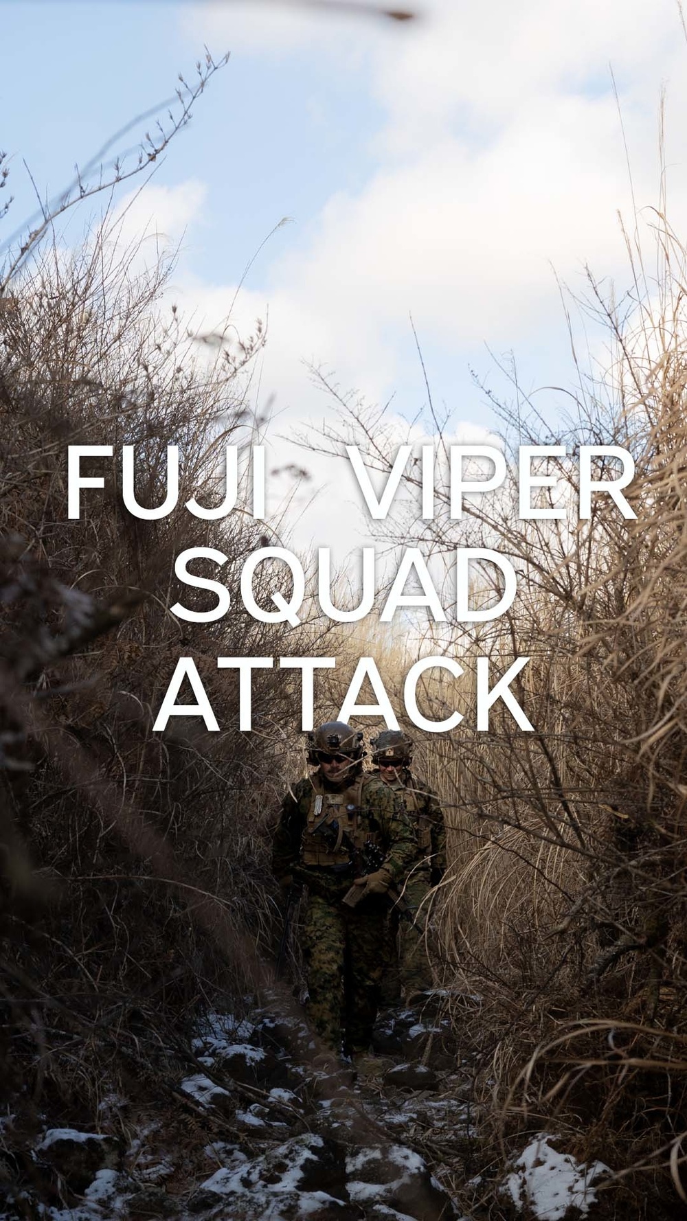 Fuji Viper Squad Attack Graphic