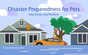 PMRF Gives DoD Personnel Tips to Prepare Their Pets for Disasters