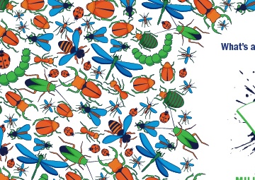 Bug Week Twitter Banner