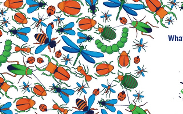 Bug Week Twitter Banner