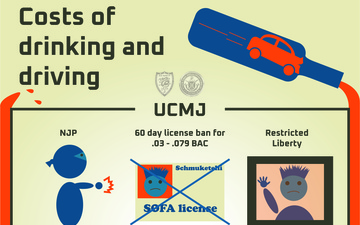 Costs of Drinking and Driving