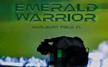 Emeral Warrior 23 Graphic