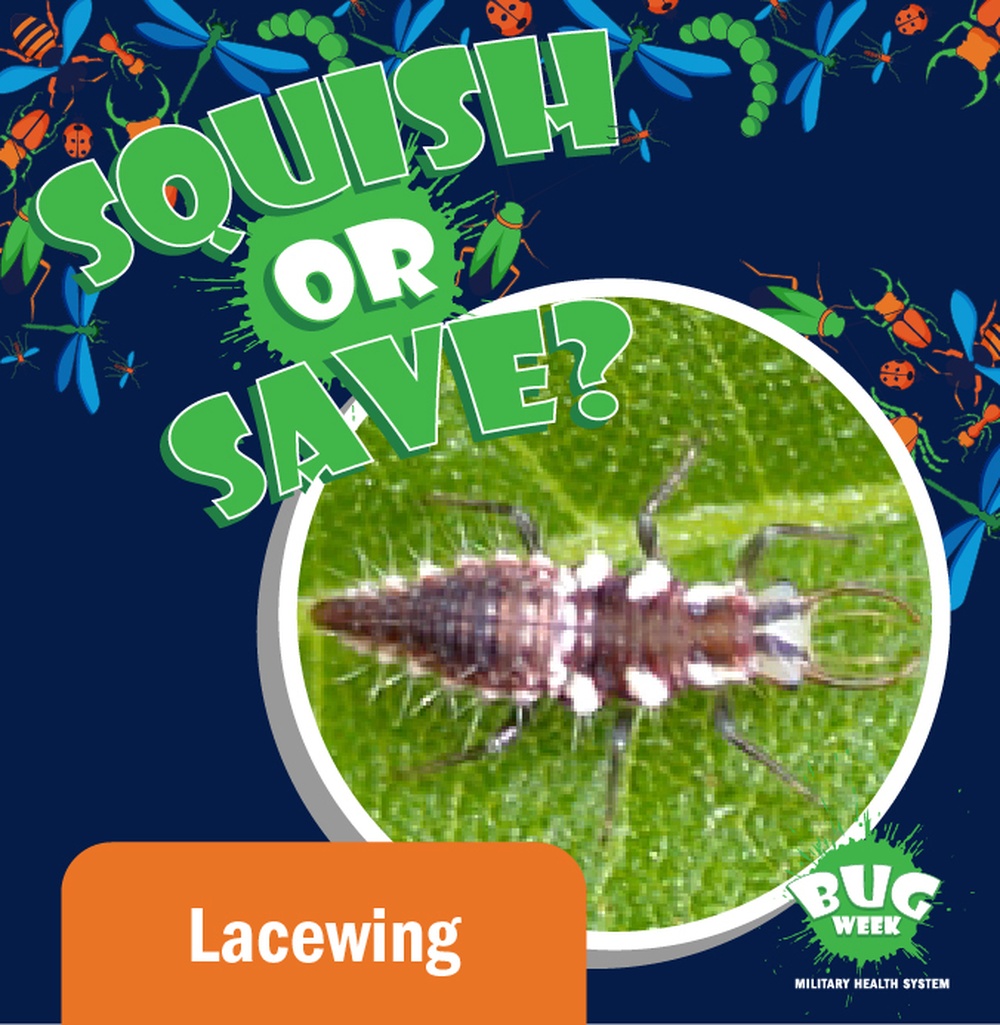 Squish or Save monarch lacewing question