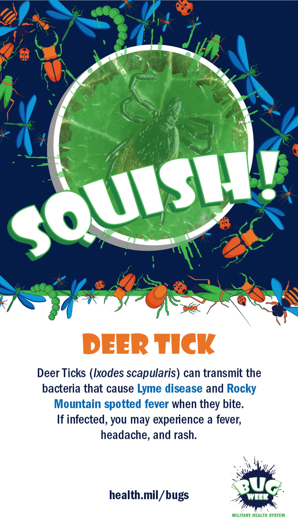 Squish or Save deer tick answer