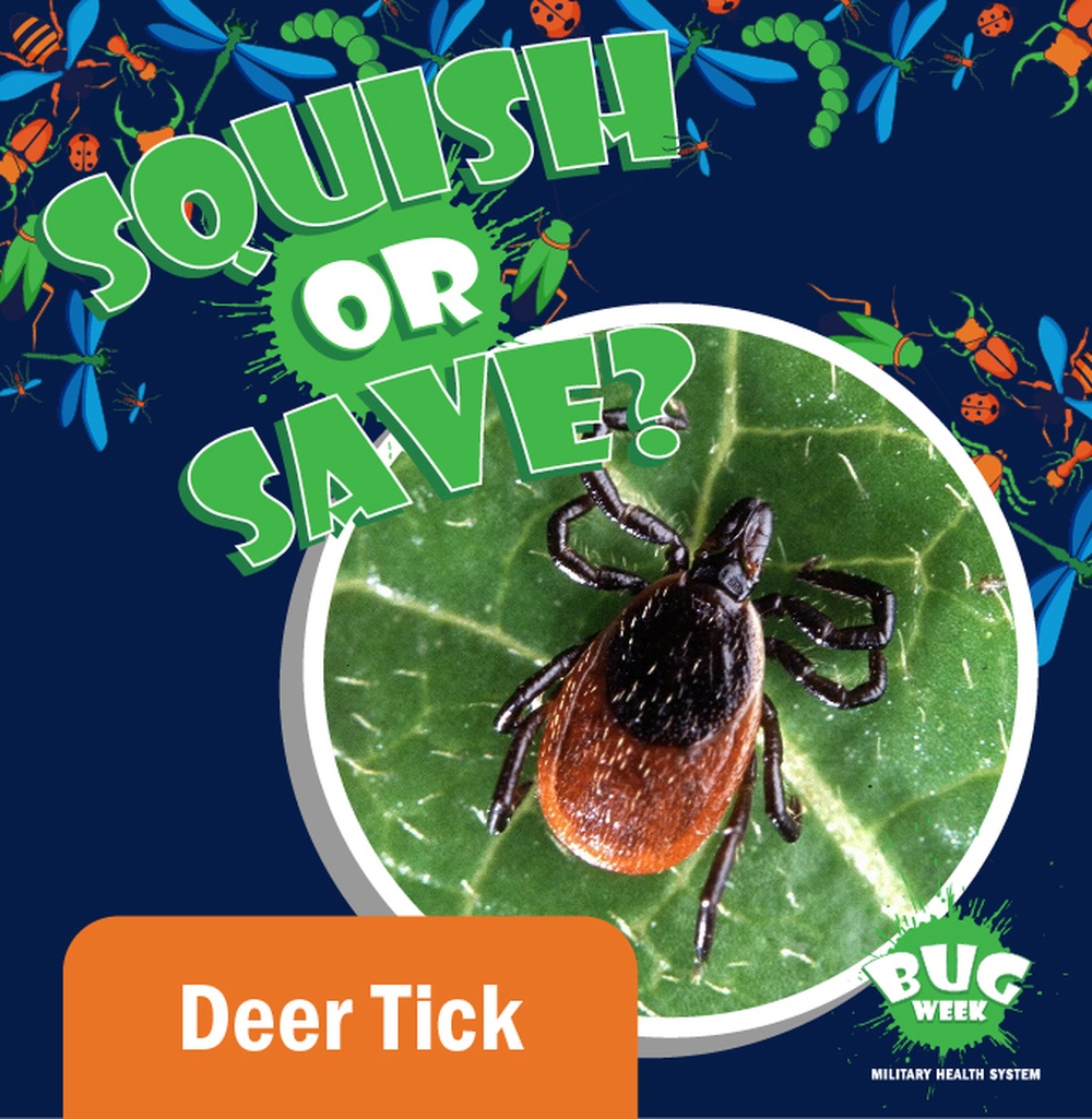 Squish or Save deer tick question