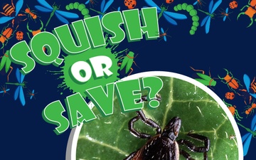 Squish or Save deer tick question