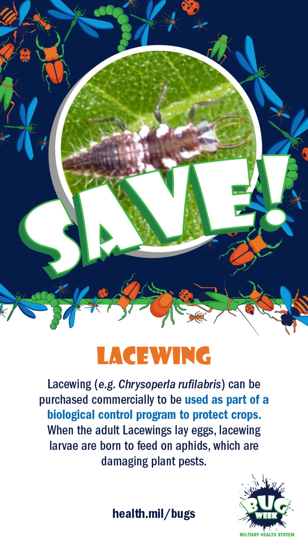 Squish or Save lacewing answer