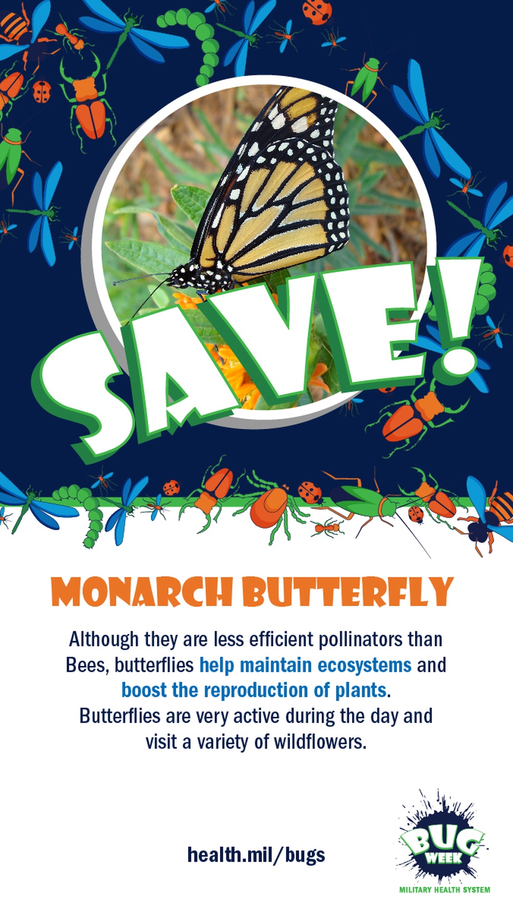 Squish or Save monarch butterfly answer