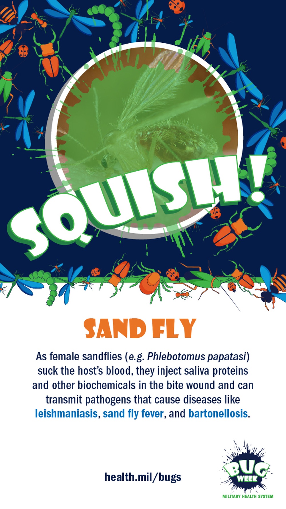 Squish or Save sand fly answer