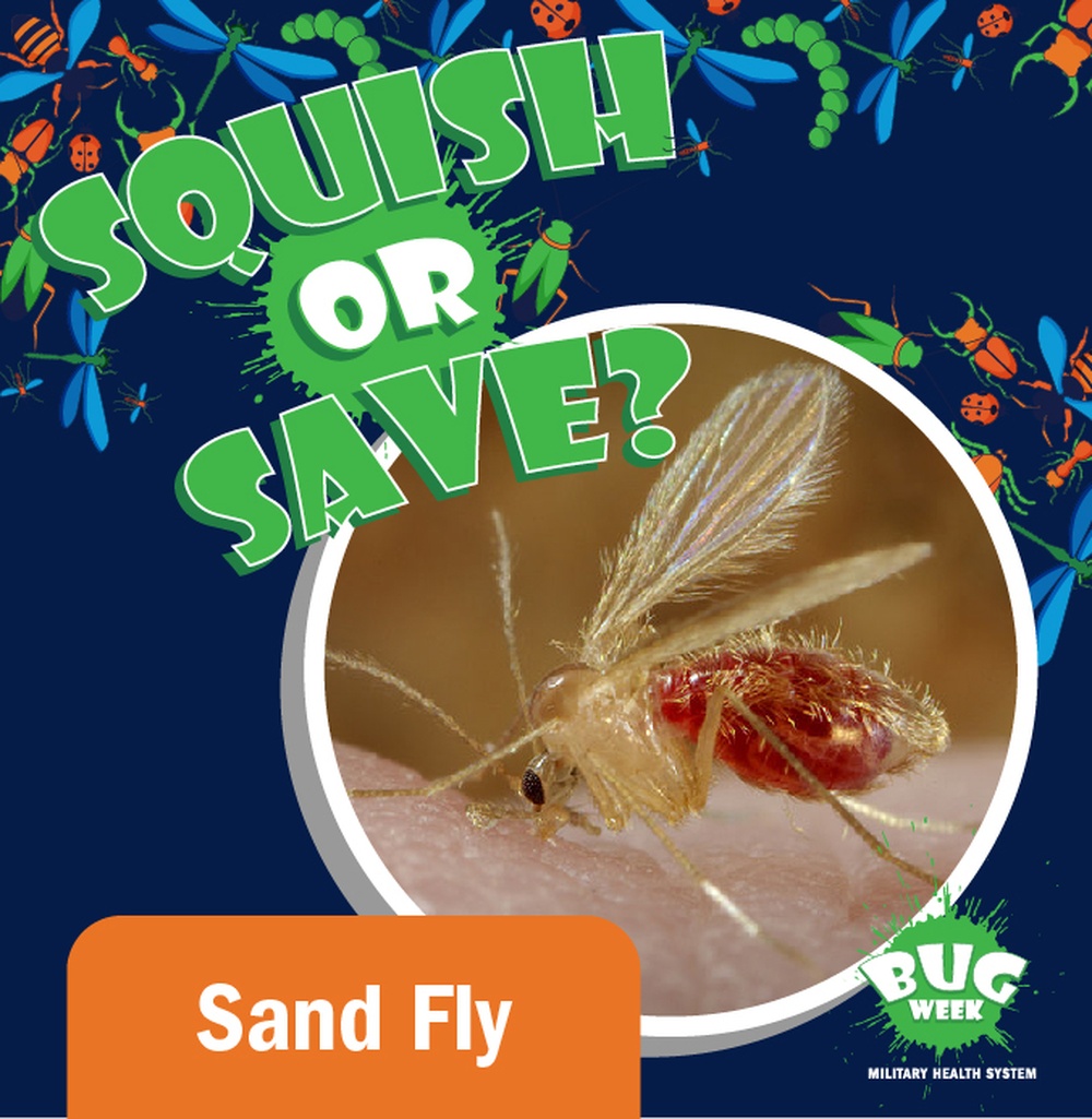 Squish or Save sand fly question