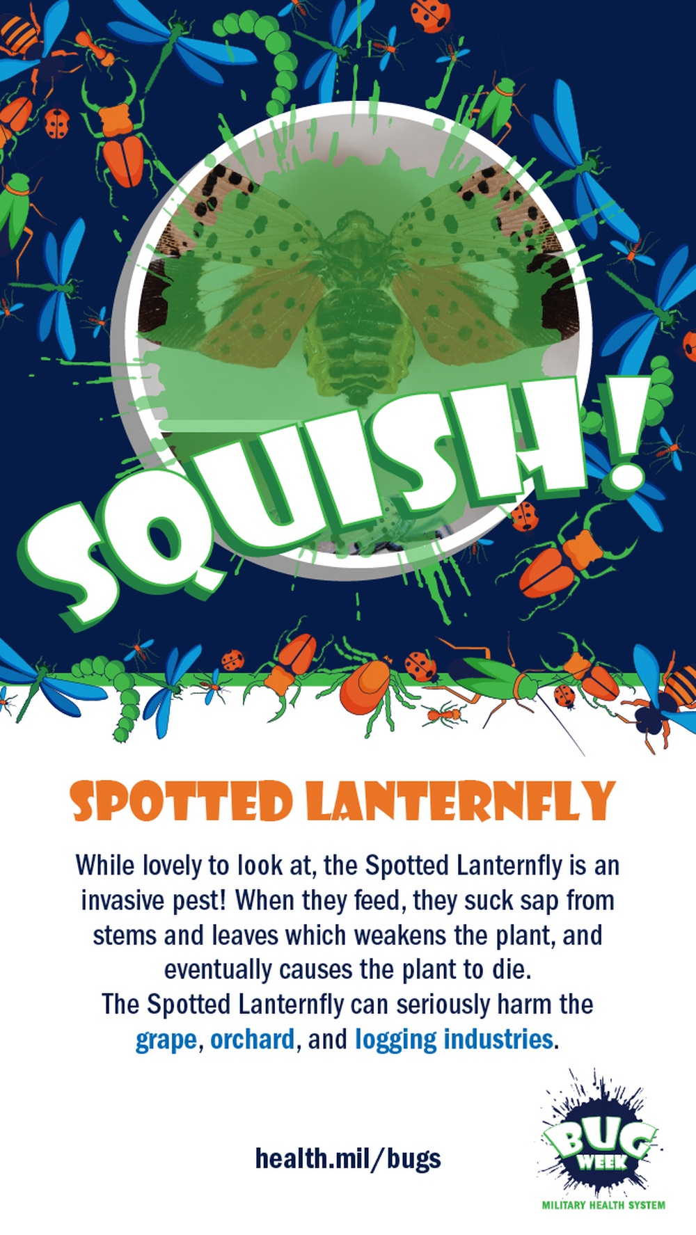 Squish or Save spotted lanternfly answer