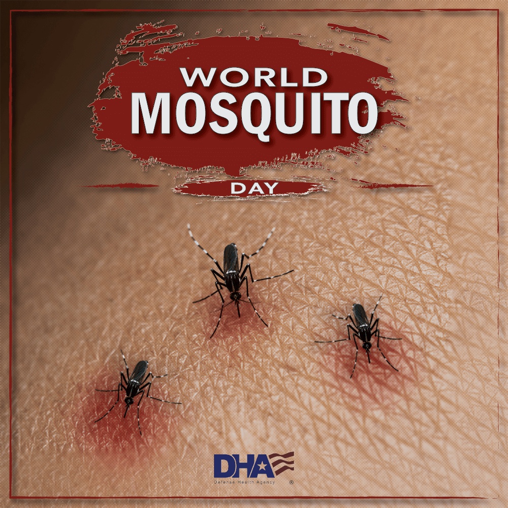 World Mosquito Day