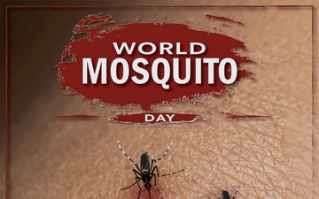 World Mosquito Day