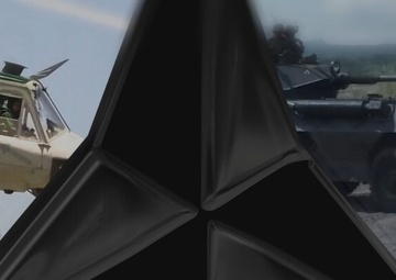 3D Marine Division Bumper