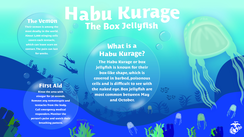 Habu Kurage Box Jellyfish Infographic