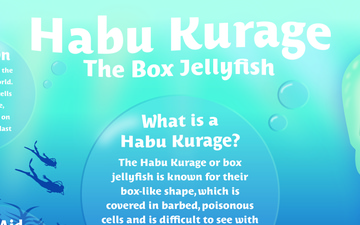 Habu Kurage Box Jellyfish Infographic