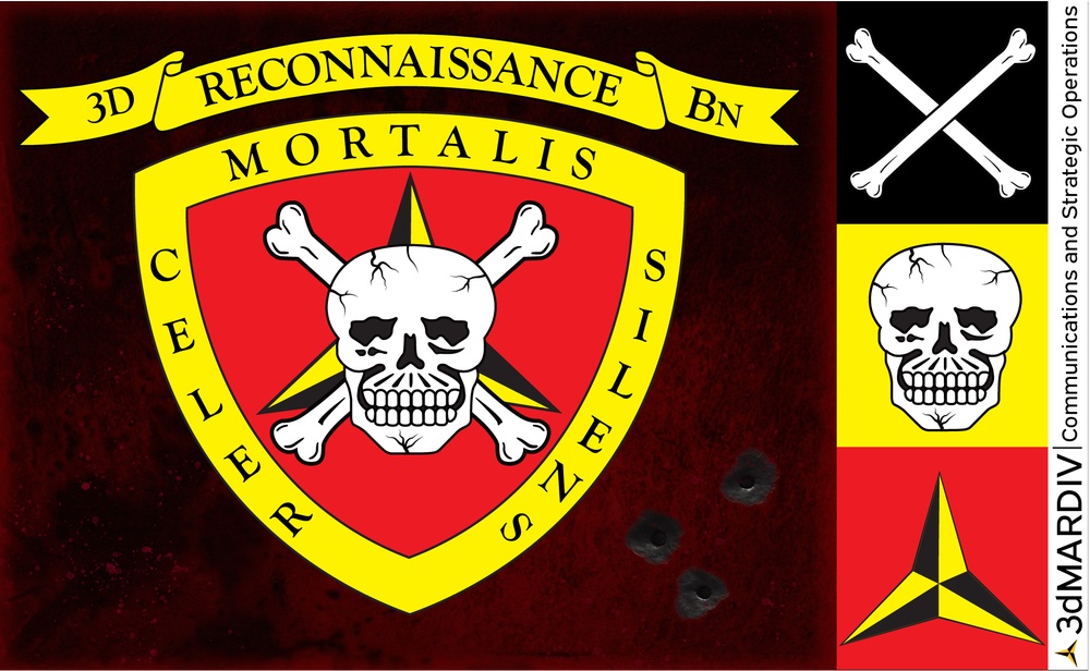 3D Reconnaissance Battalion logo/identity design