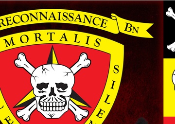3D Reconnaissance Battalion logo/identity design