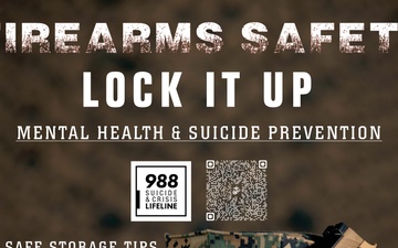 Lethal Means Safety Poster Campaign: Suicide Prevention and Weapon Safety