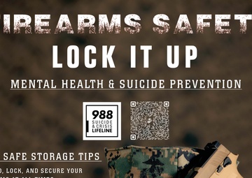 Lethal Means Safety Poster Campaign: Suicide Prevention and Weapon Safety
