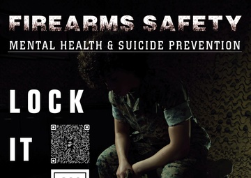 Lethal Means Safety Poster Campaign: Suicide Prevention and Weapon Safety 