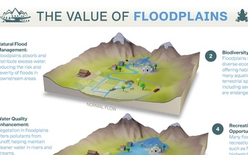 The Value of Floodplains Infographic