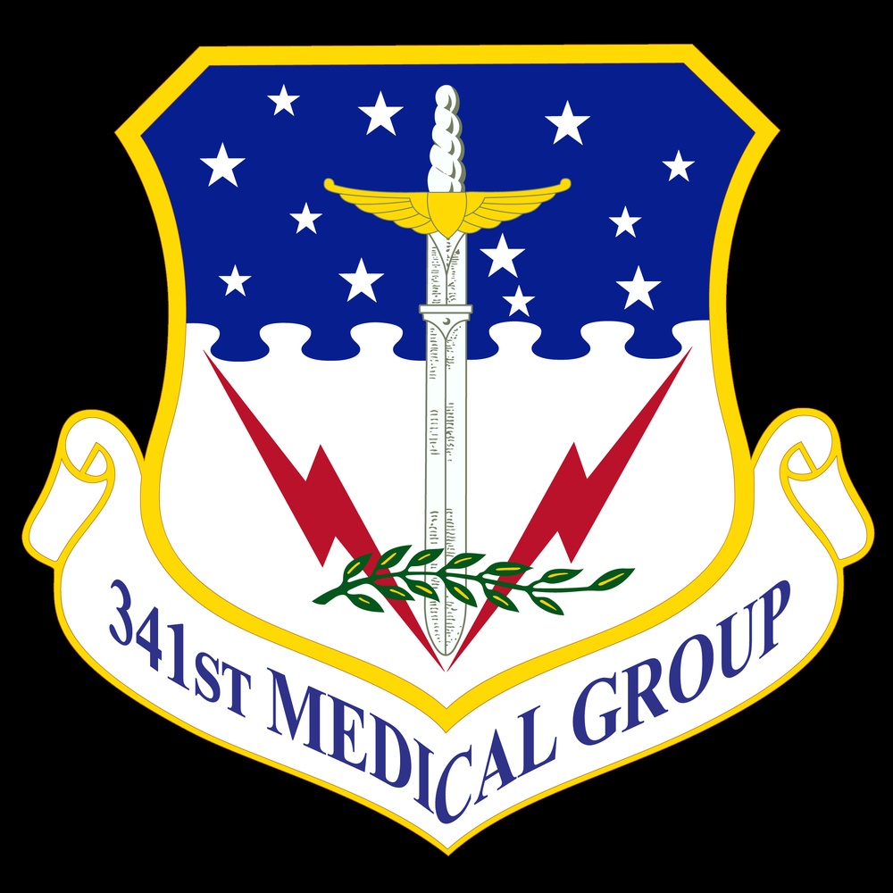 341st Medical Group Shield