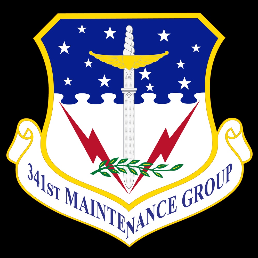 341st Maintenance Group Shield