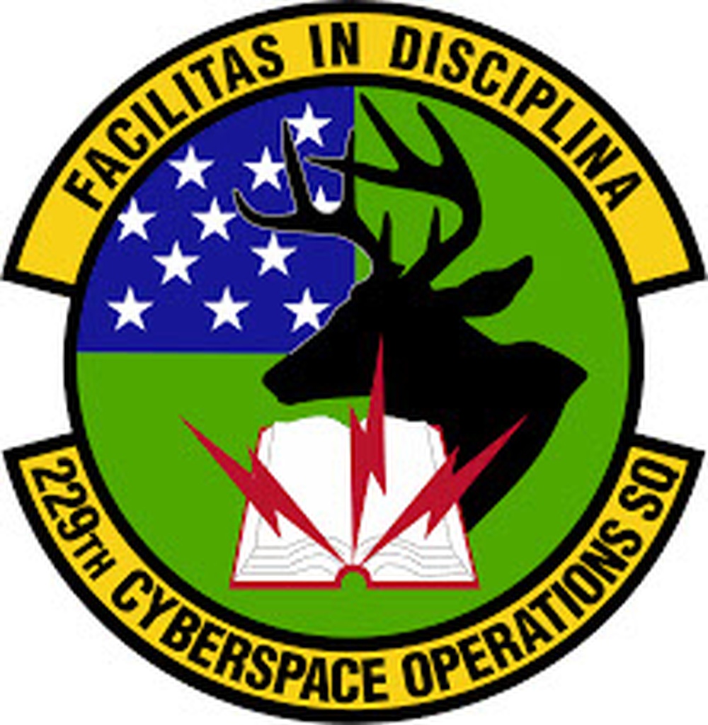 229th Cyberspace Operations Logo