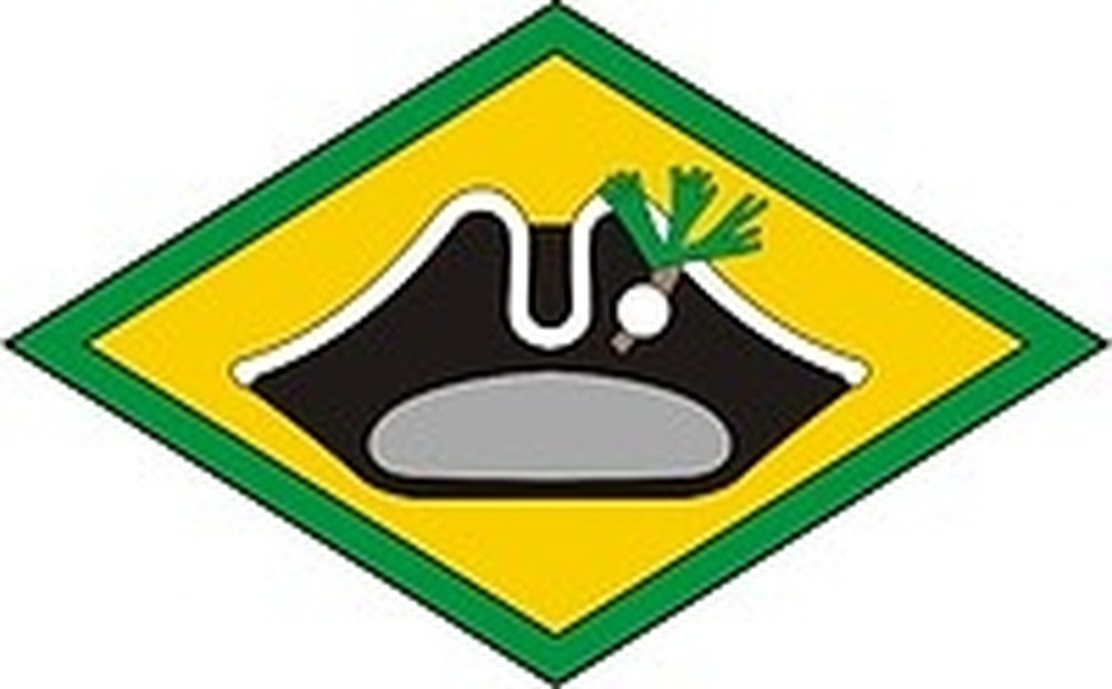 Joint Force Headquarters Logo