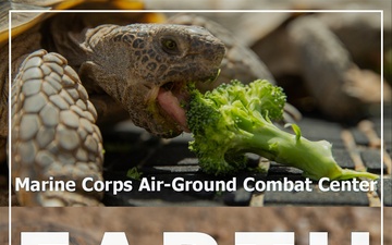 The Combat Center celebrates Earth Day 2024