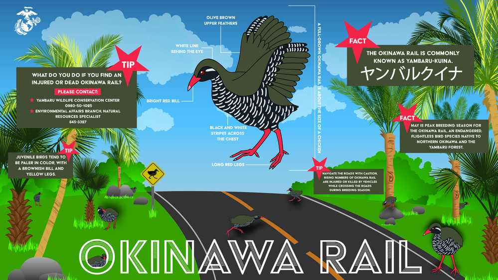 Okinawa Rail Infographic