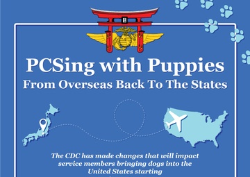 PCSing With Puppies