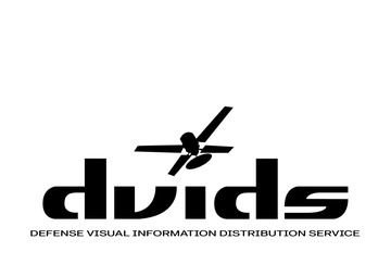 DVIDS Logo