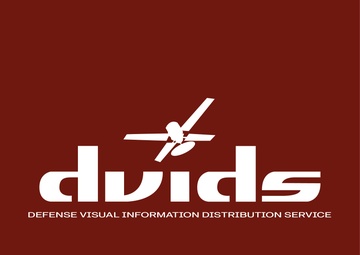 DVIDS Logo