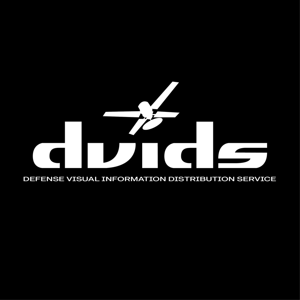 DVIDS Logo