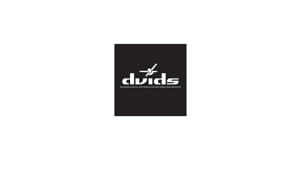 DVIDS Logo [Adobe Illustrator File]