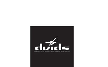 DVIDS Logo [Adobe Illustrator File]