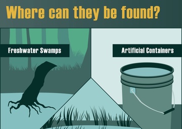 World Malaria Day 2024 - Habitats