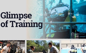 Glimpse in Training: Center for Explosive Ordnance Disposal and Diving